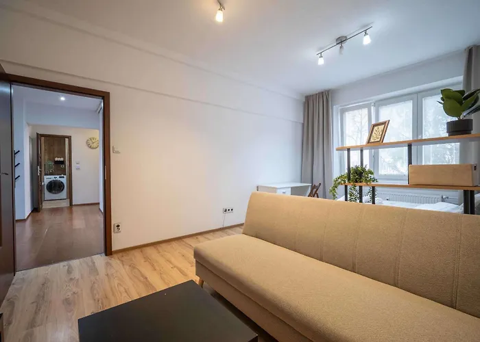 Comfort Family-sized In Centre Appartement *