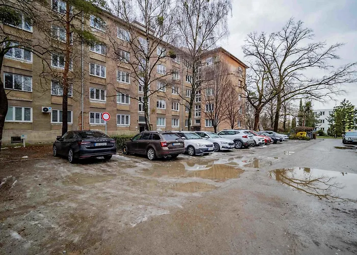 Comfort Family-sized In Centre 코시체